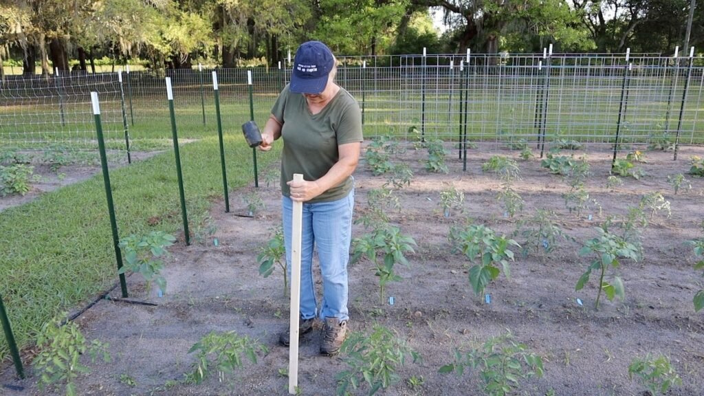 woman hammering a stack into the garden