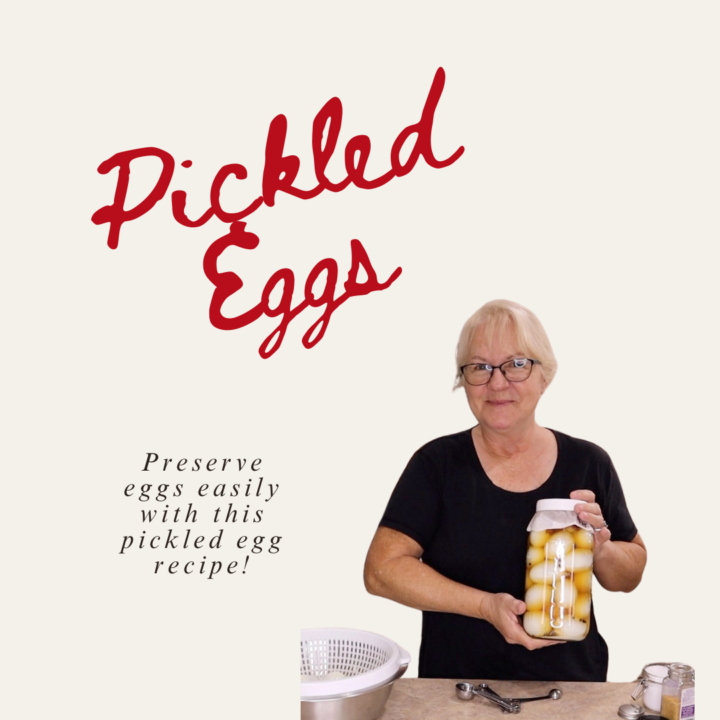 Pickled Eggs