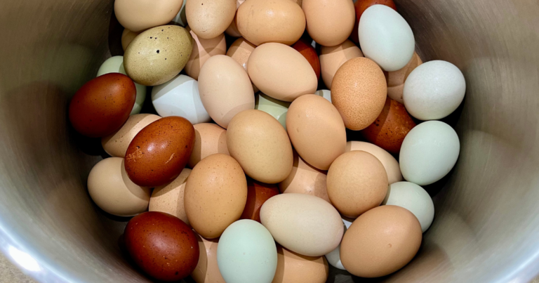How to Preserve Eggs? PICKLE THEM!