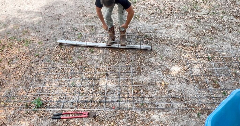 man using a 2" x 4" board to bend and shape the cattle panel for the tomato cage