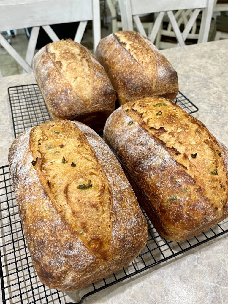 jalapeno cheddar sourdough loaves fresh baked and cooling on a rack
